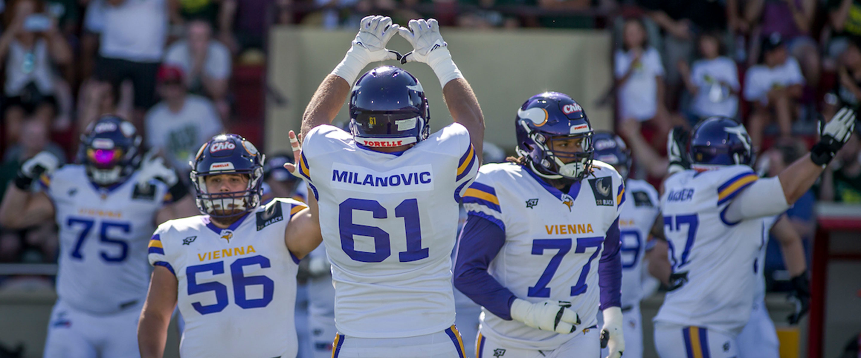 Sponsoring elf vienna vikings