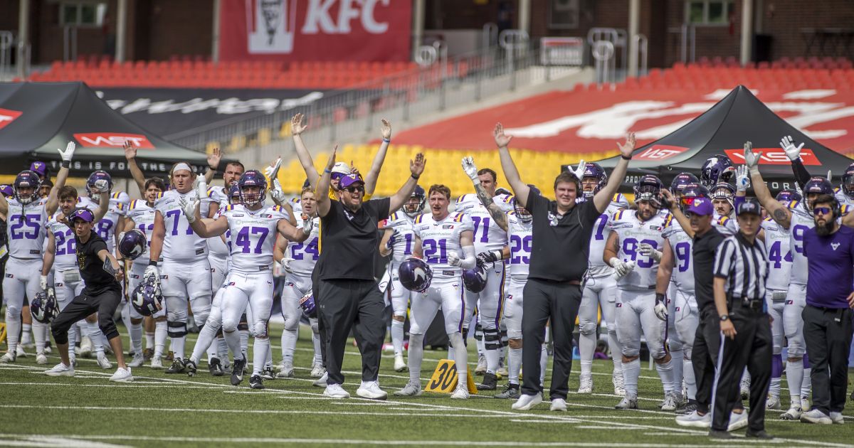 Sponsoring elf vienna vikings