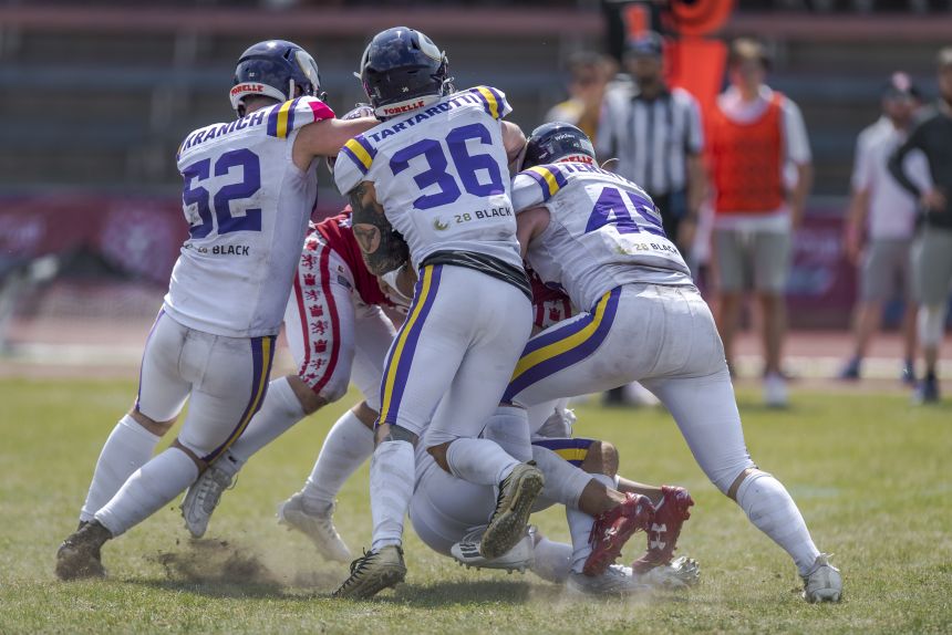 Home ELF VIENNA VIKINGS